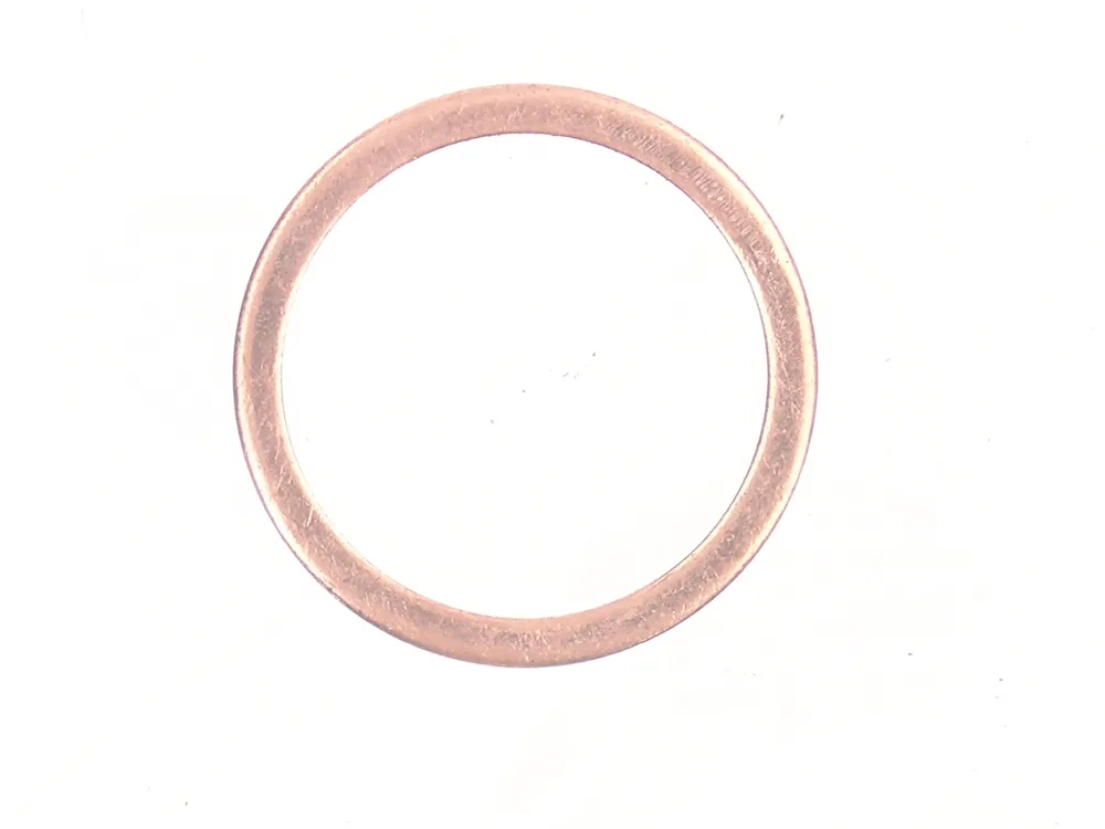 7007971 — Ring Seal
