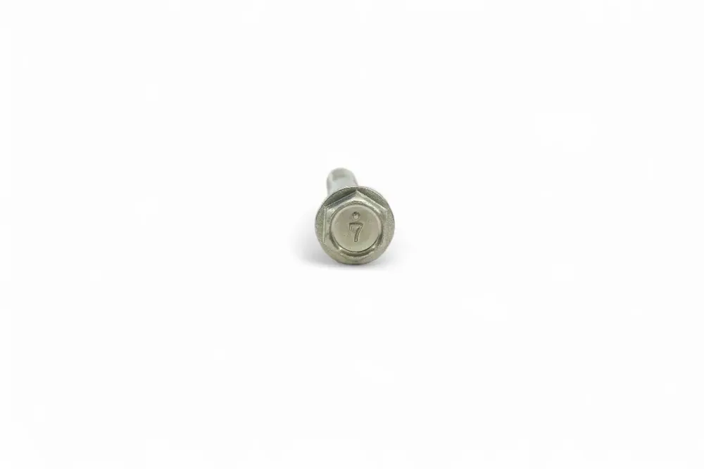 7008381 — BOLT