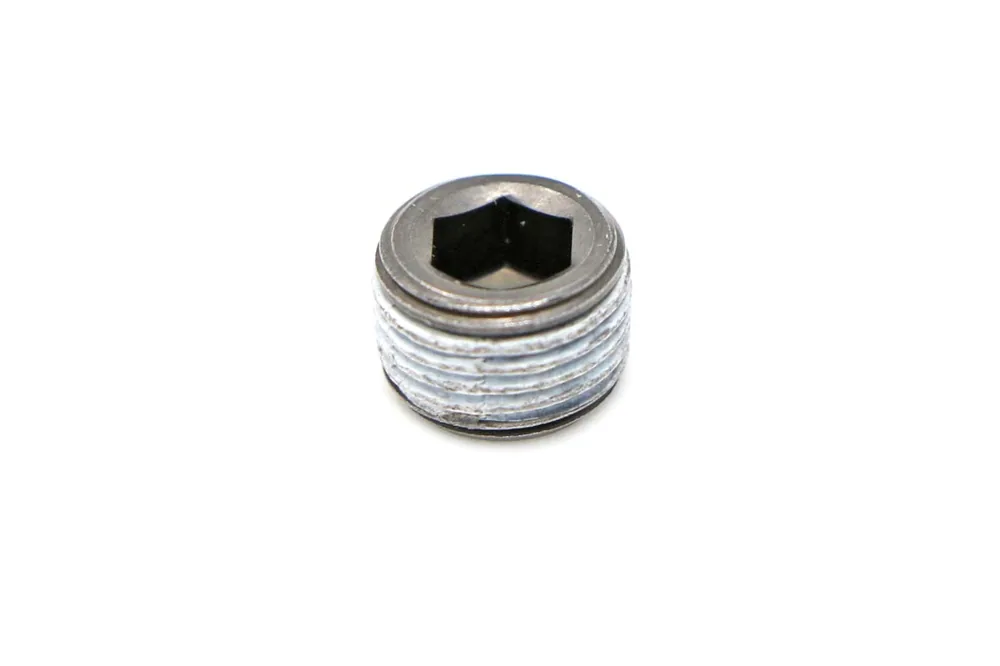 7009163 — Plug