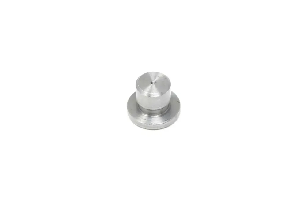 7009206 — PLUG