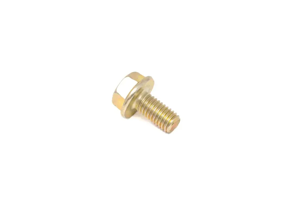 7009256 — BOLT