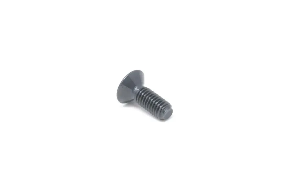 7009615 — SCREW