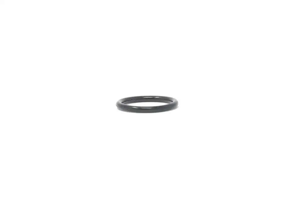 7009646 — O-RING