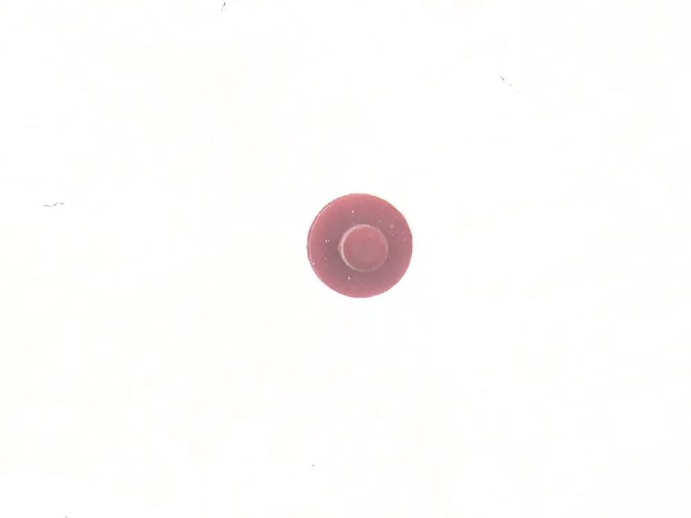 7010551 — Plug