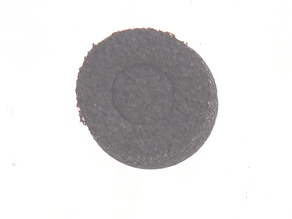 7015456 — Gasket