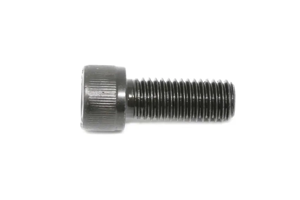 7019245 — BOLT