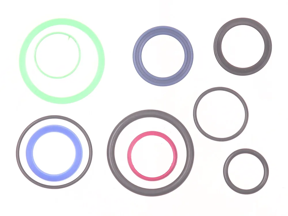 7022218 — Seal Kit