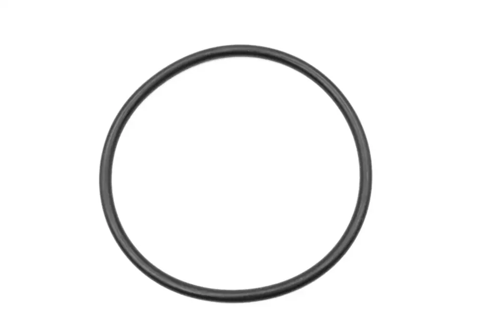 7025123 — O-RING