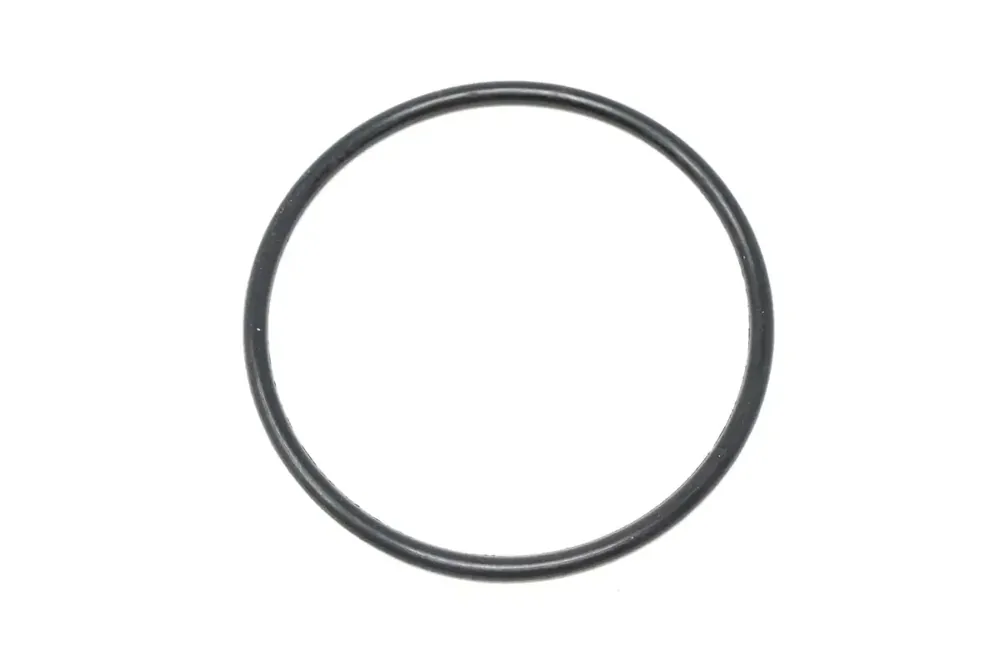 7029246 — O-RING
