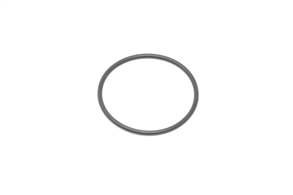 7029335 — O-RING