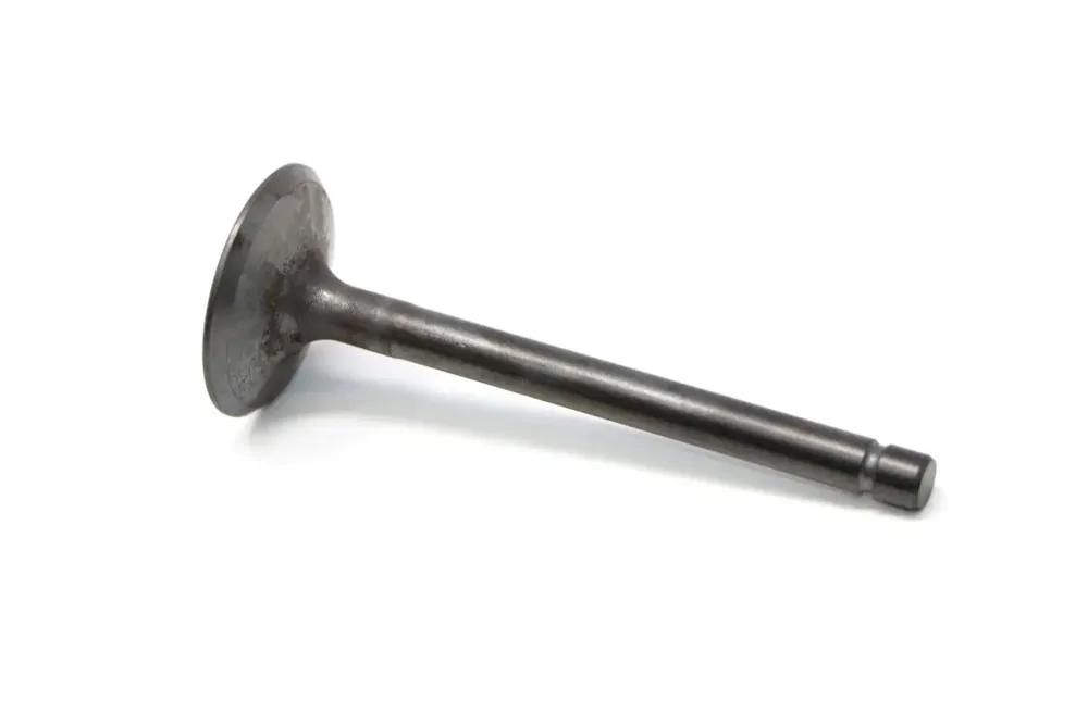 7031256 — VALVE, INLET