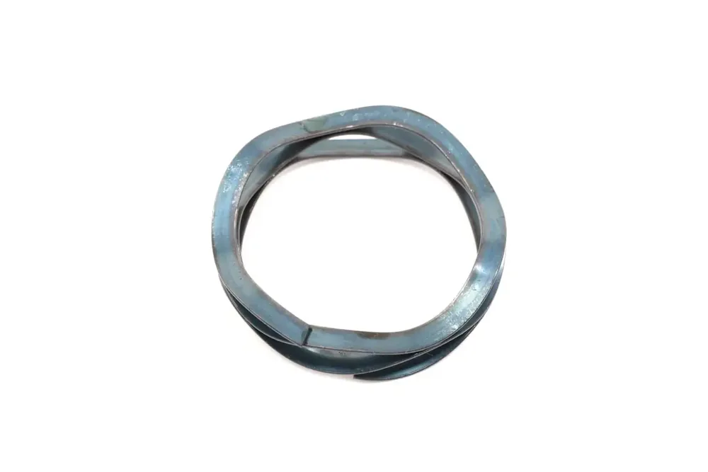 7195619 — WASHER, SPRING