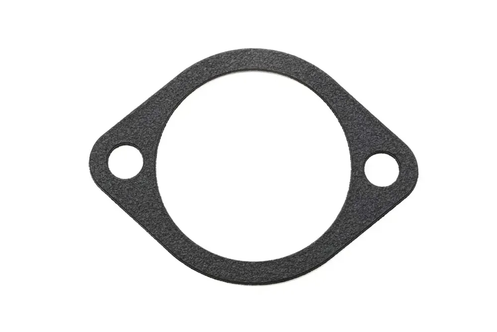 7251997 — GASKET
