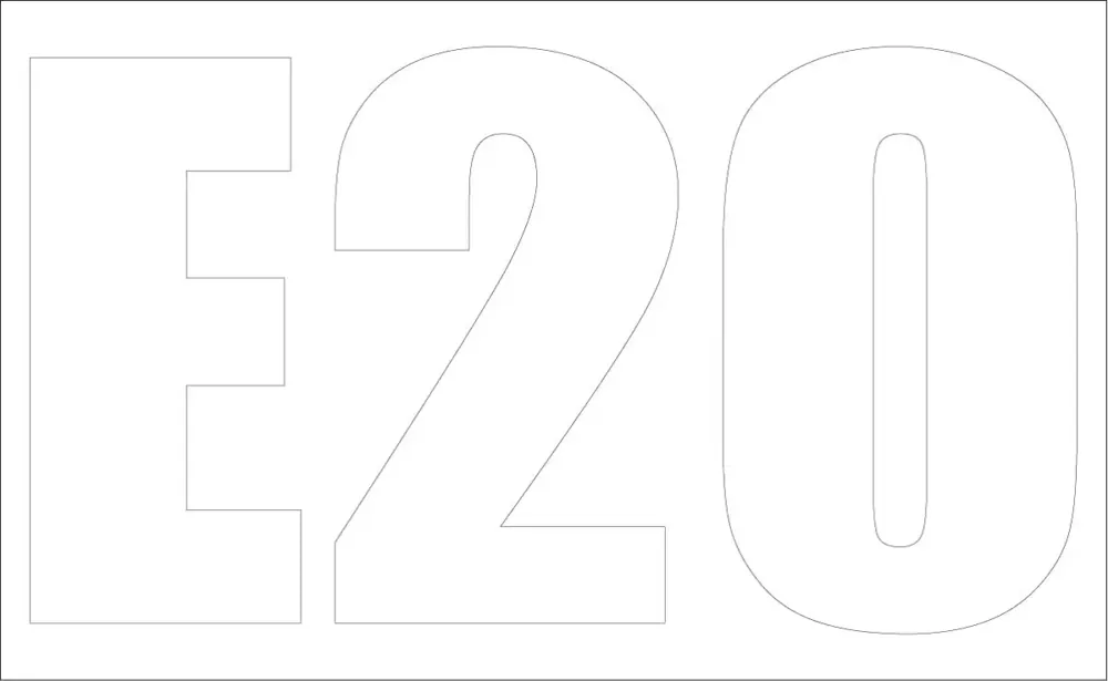 7255521 — DECAL E20 NA