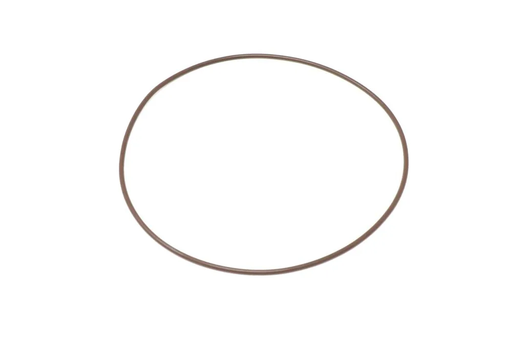 7255550 — O-Ring