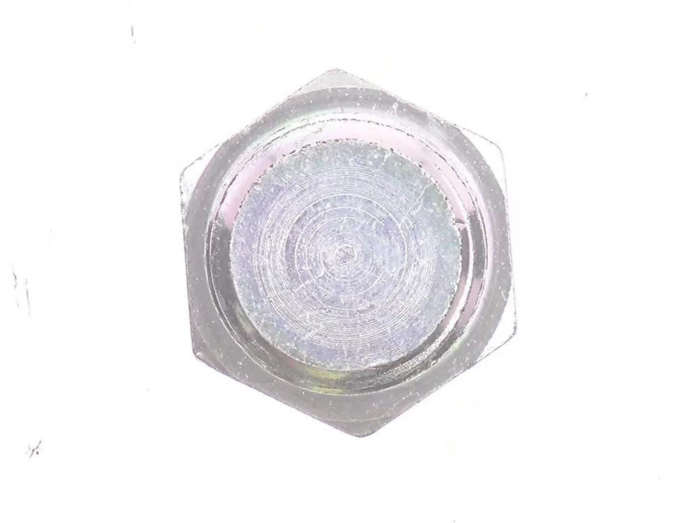 7256835 — Plug