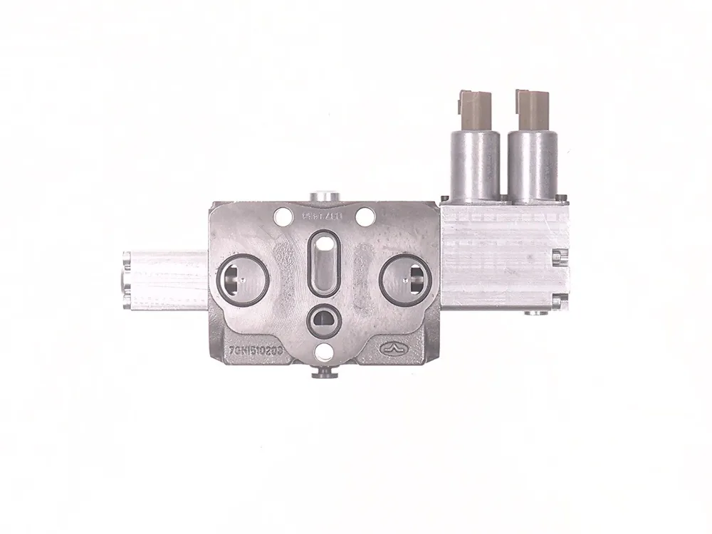 7259862 — Section, Valve