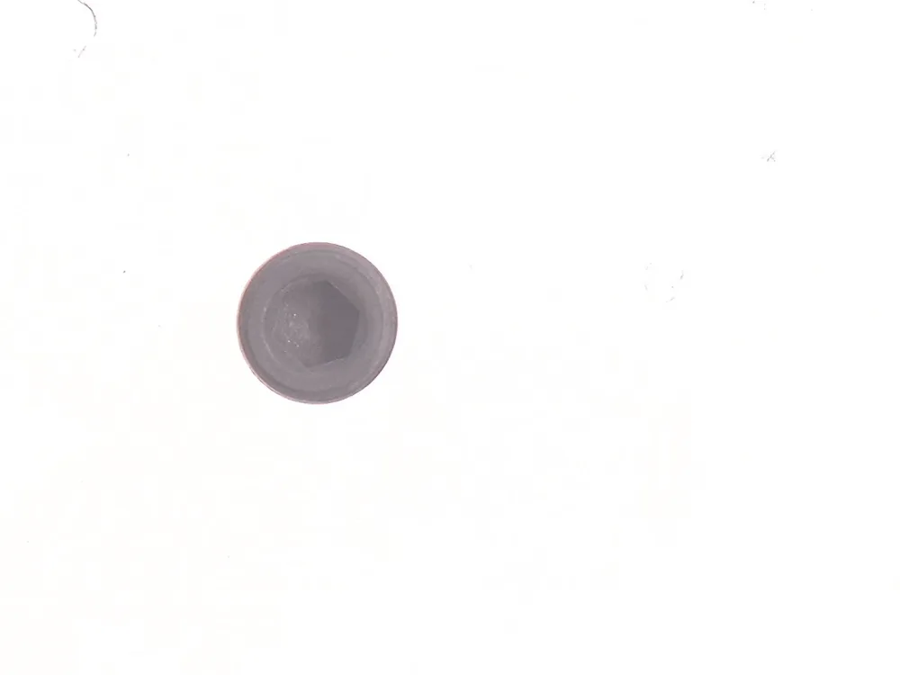 7267732 — Plug