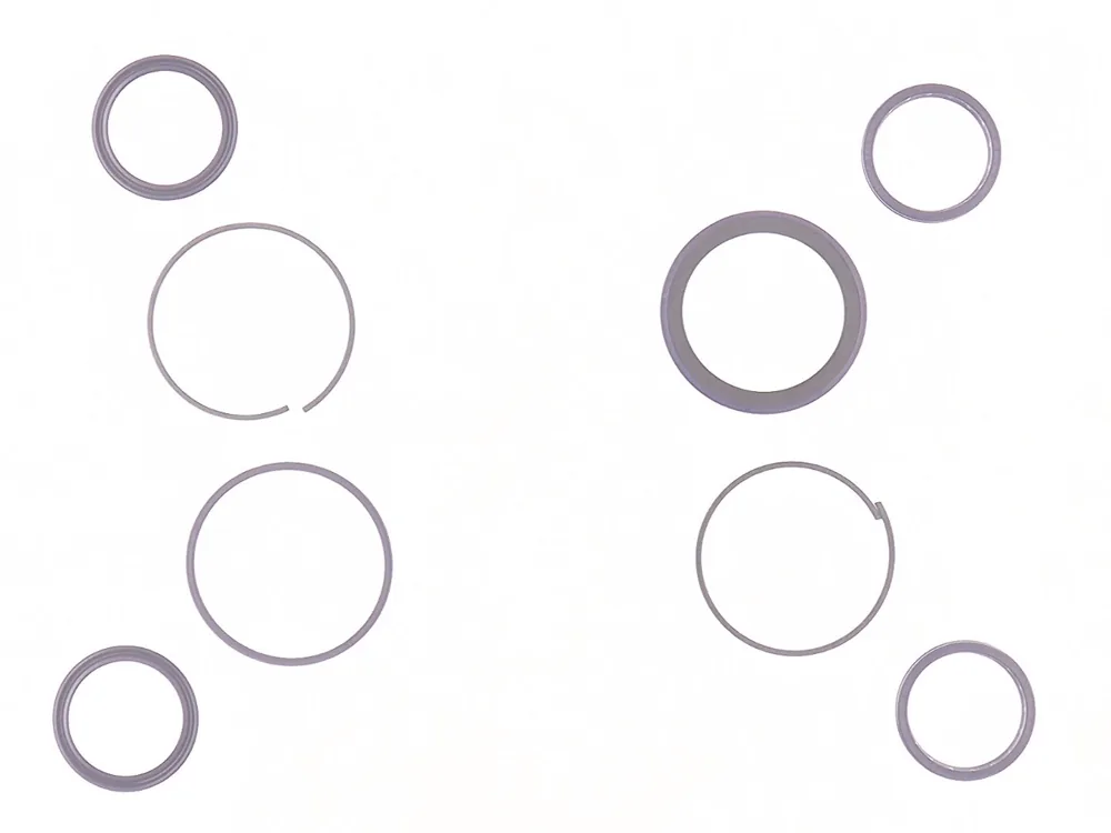 7285981 — Seal Kit