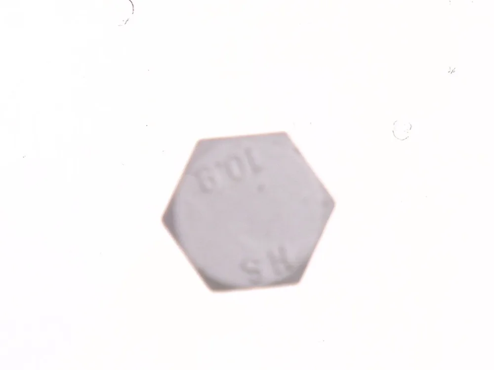 7287344 — Bolt