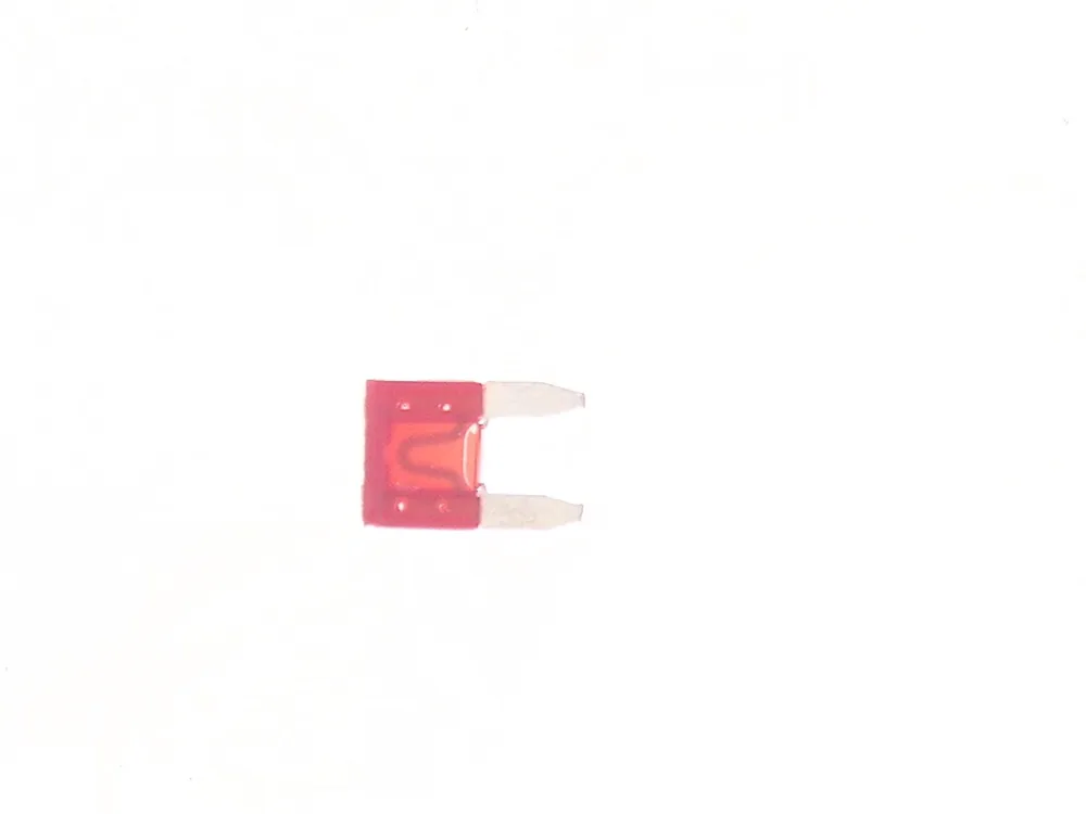 7287713 — Fuse, 10 Amp