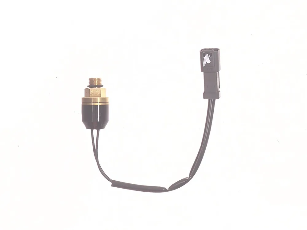 7288246 — Switch, Pressure