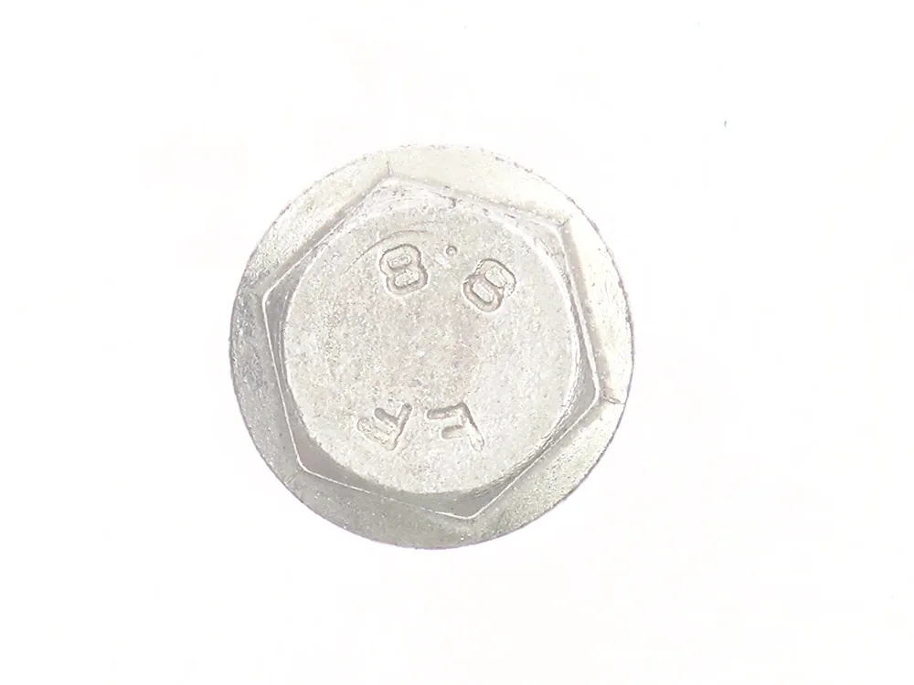 7289061 — Screw