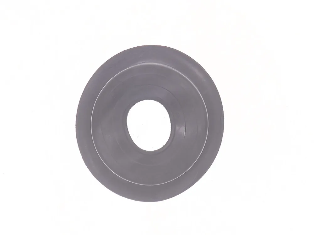 7289288 — Seal, Dust, Rubber