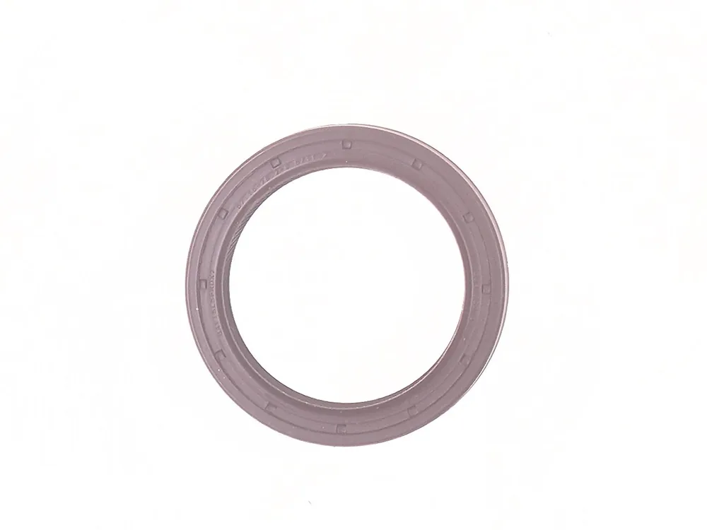 7289320 — Seal, Oil