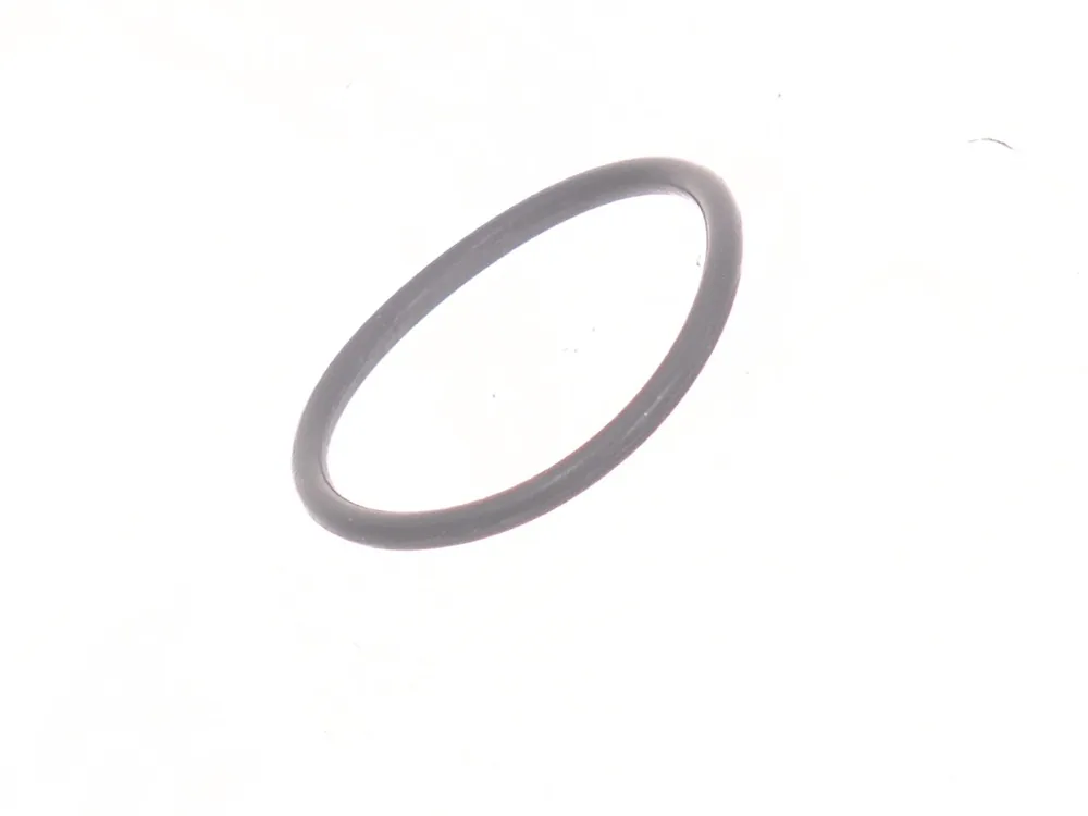 7289450 — O-Ring