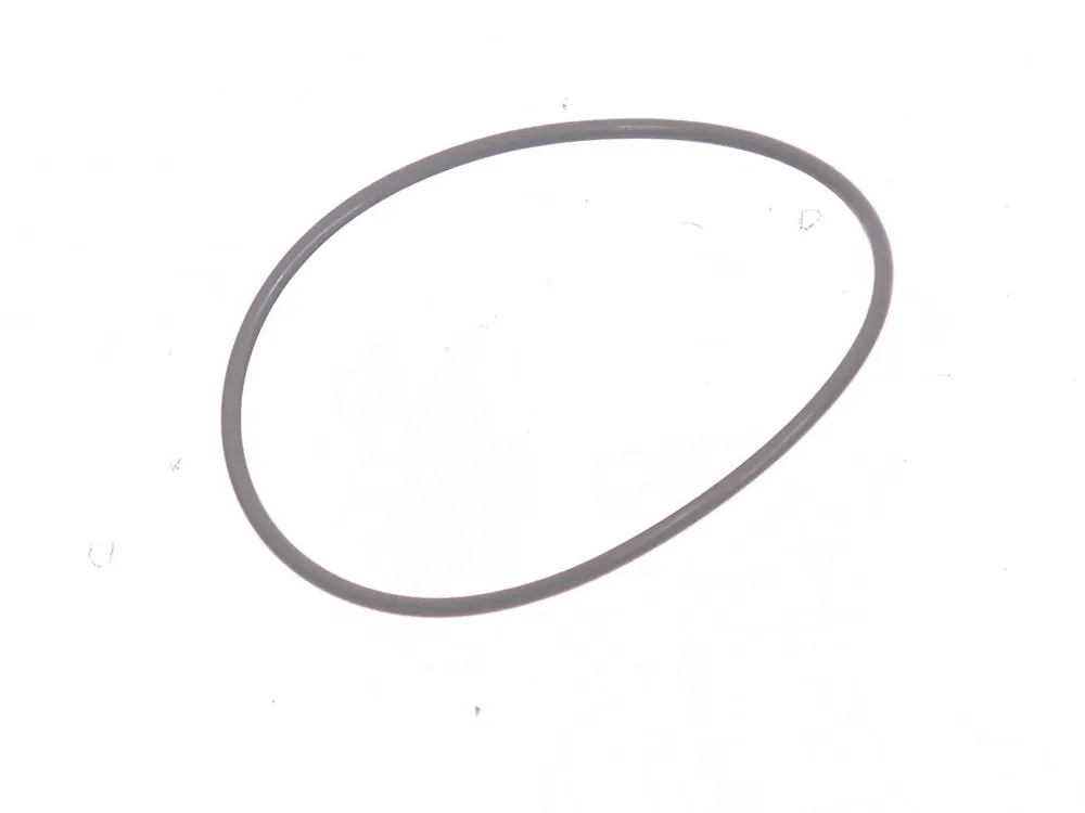 7289755 — O-Ring