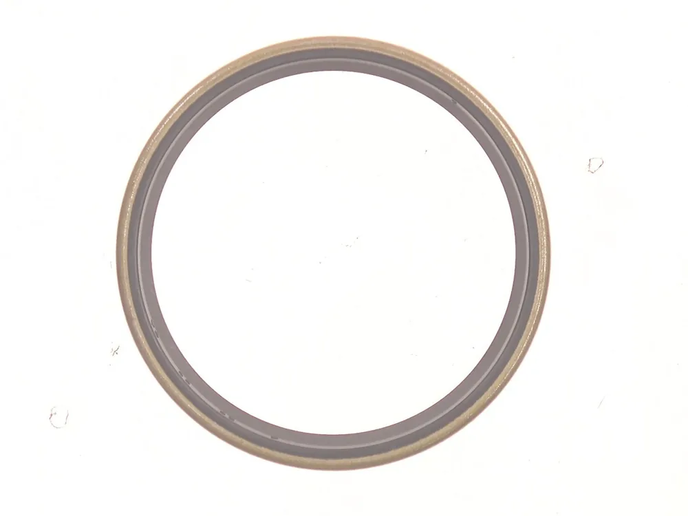 7289943 — Seal, Dust