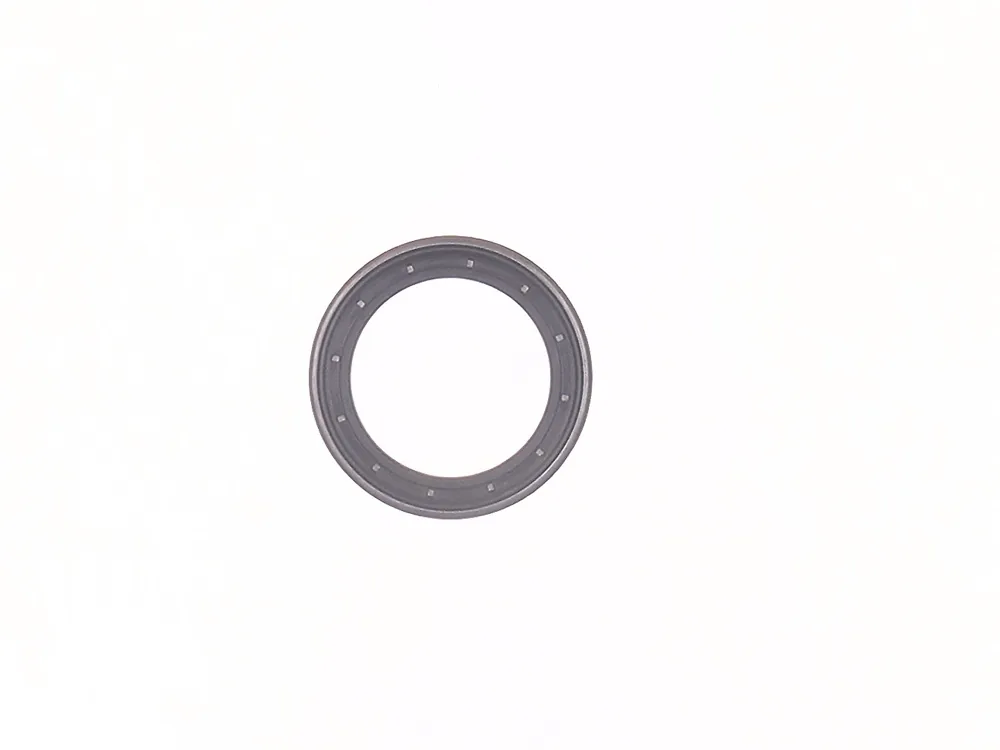 7290042 — Seal, Oil