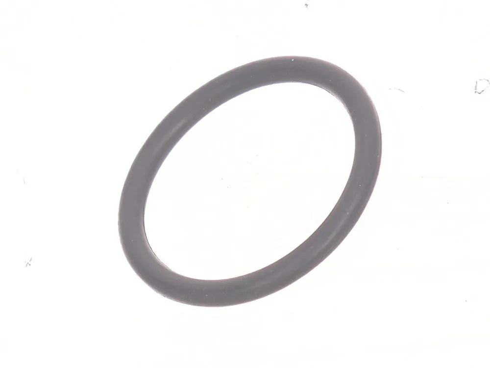 7290066 — O-Ring
