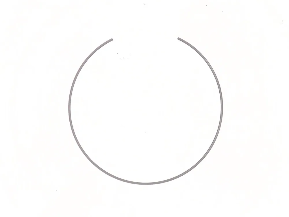 7290199 — Ring