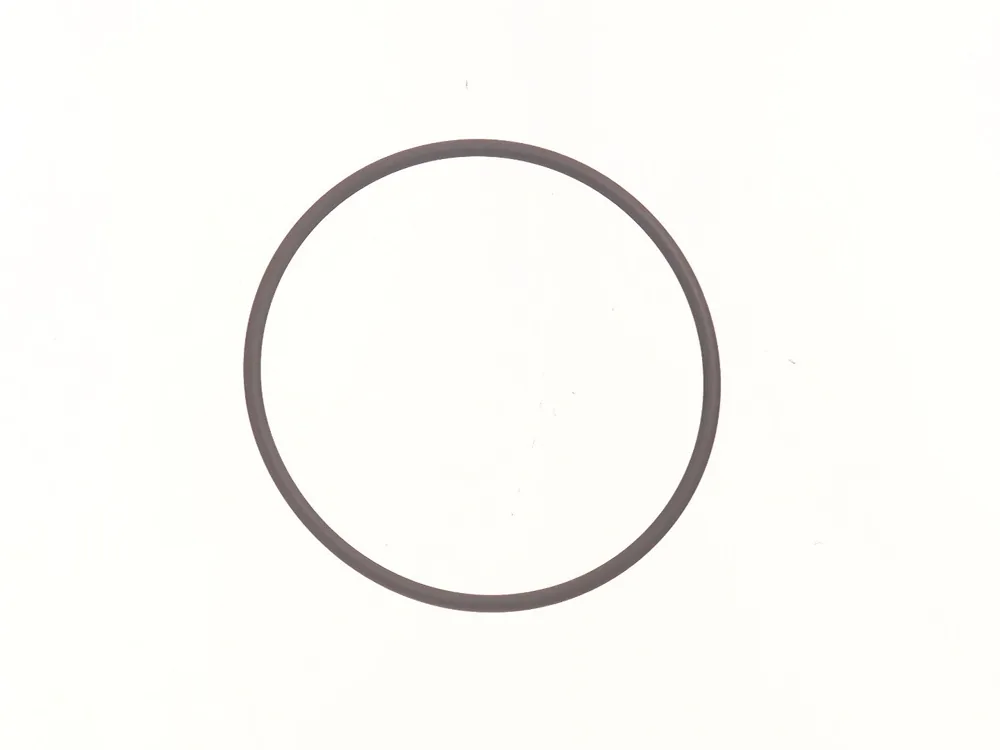 7290382 — O-Ring