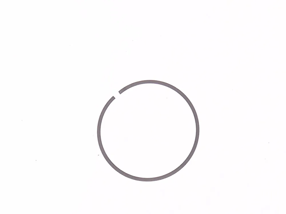 7291157 — Ring