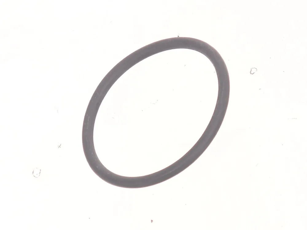 7293197 — O-Ring