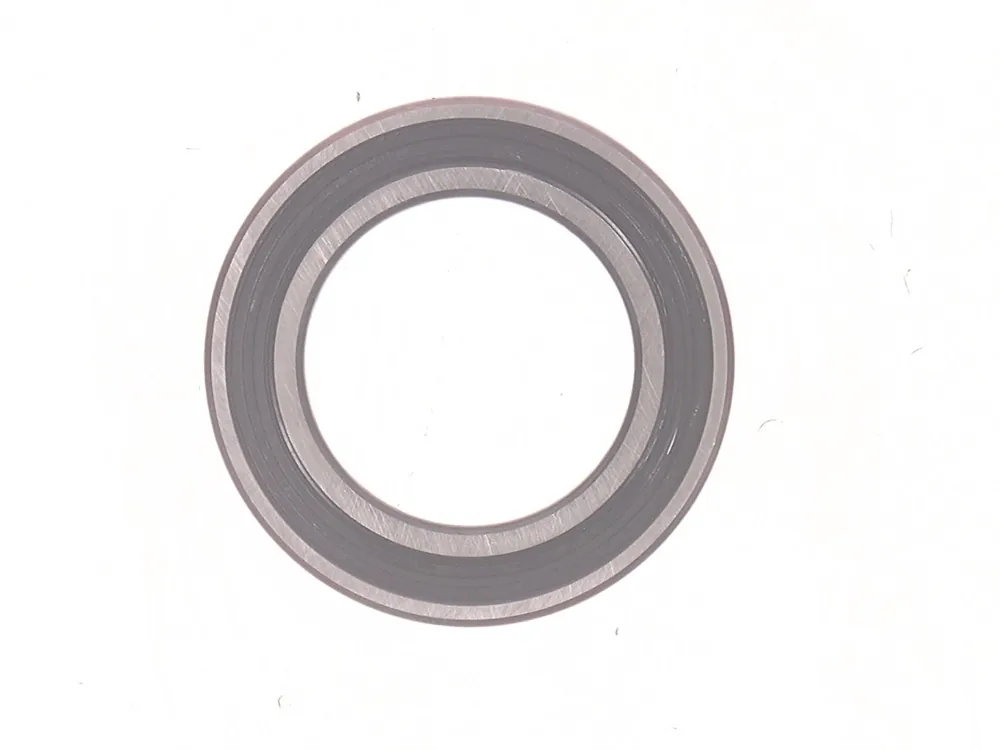 7295336 — Bearing, Sealed