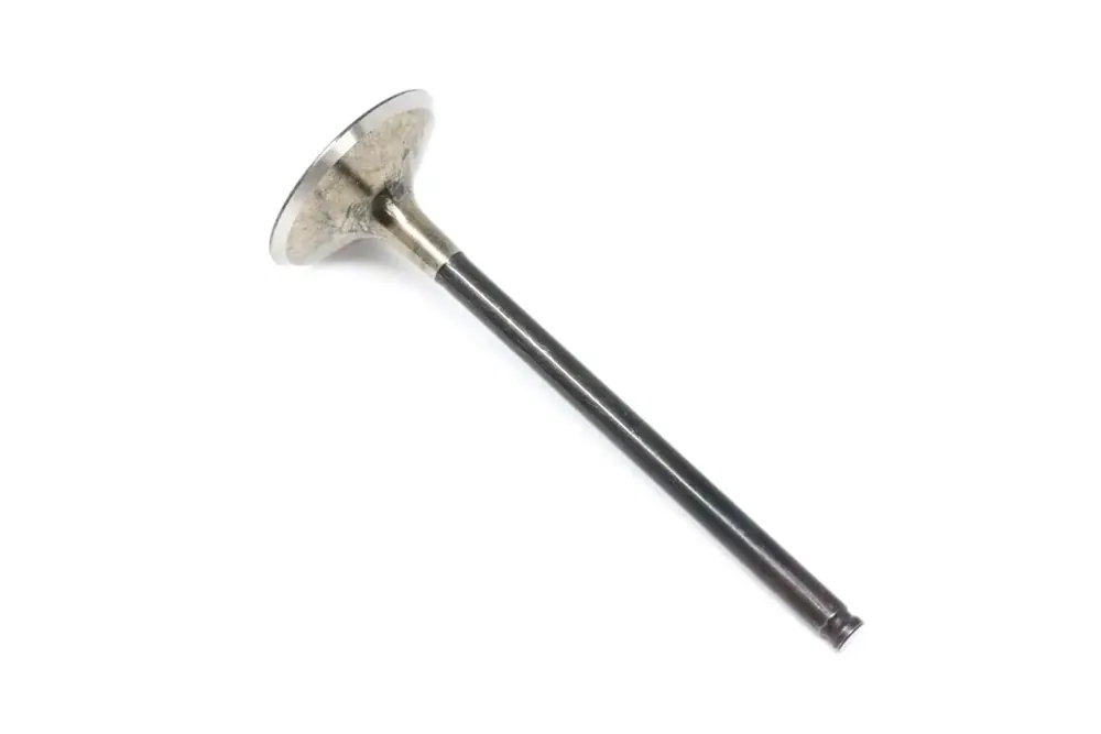7308685 — VALVE EXHAUST